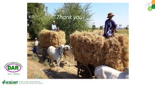 Priorities for DAR-ICRISAT Research Collaborations by Dr Pooran Gaur 