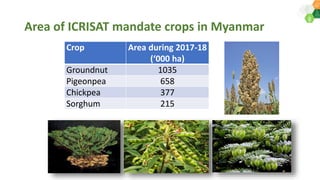 Priorities for DAR-ICRISAT Research Collaborations by Dr Pooran Gaur 