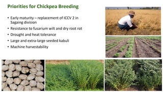 Priorities for DAR-ICRISAT Research Collaborations by Dr Pooran Gaur 