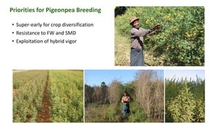 Priorities for DAR-ICRISAT Research Collaborations by Dr Pooran Gaur 