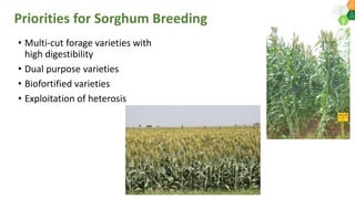 Priorities for DAR-ICRISAT Research Collaborations by Dr Pooran Gaur 