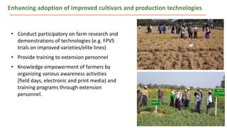 Priorities for DAR-ICRISAT Research Collaborations by Dr Pooran Gaur 