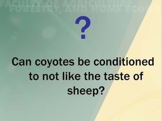 Can coyotes be conditioned
   to not like the taste of
            sheep?
 