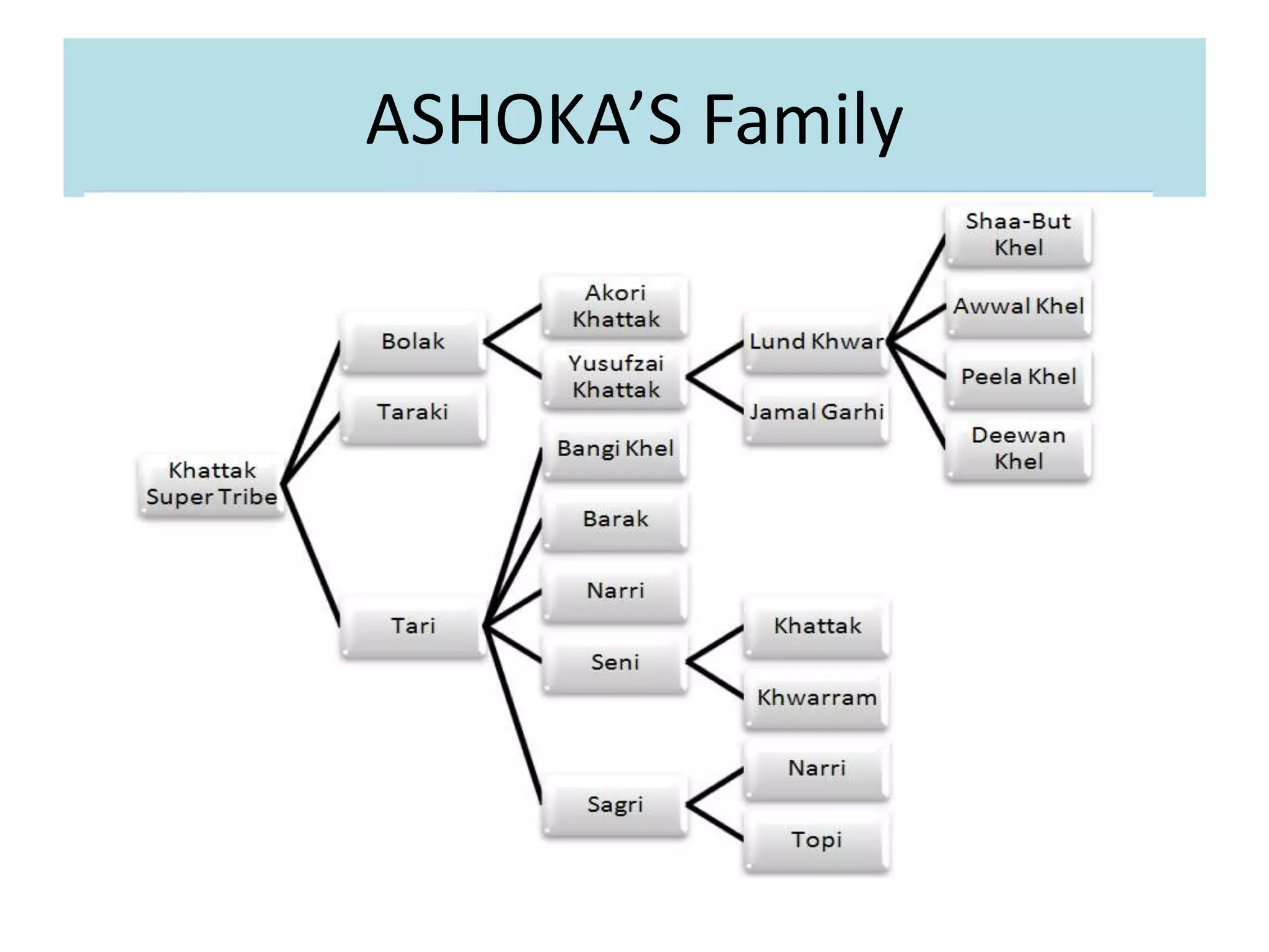 ASHOKA’S Family
 