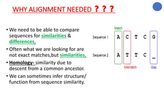 WHY ALIGNMENT NEEDED ❓❓❓
• We need to be able to compare
sequences for similarities &
differences.
• Often what we are looking for are
not exact matches,but similarities.
• Homology- similarity due to
descent from a common ancestor.
• We can sometimes infer structure/
function from sequence similarity.
 