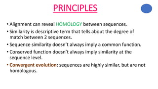 PRINCIPLES
• Alignment can reveal HOMOLOGY between sequences.
• Similarity is descriptive term that tells about the degree of
match between 2 sequences.
• Sequence similarity doesn’t always imply a common function.
• Conserved function doesn’t always imply similarity at the
sequence level.
• Convergent evolution: sequences are highly similar, but are not
homologous.
 