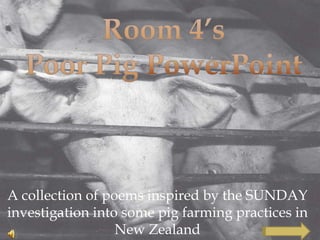 A collection of poems inspired by the SUNDAY
investigation into some pig farming practices in
                  New Zealand
 