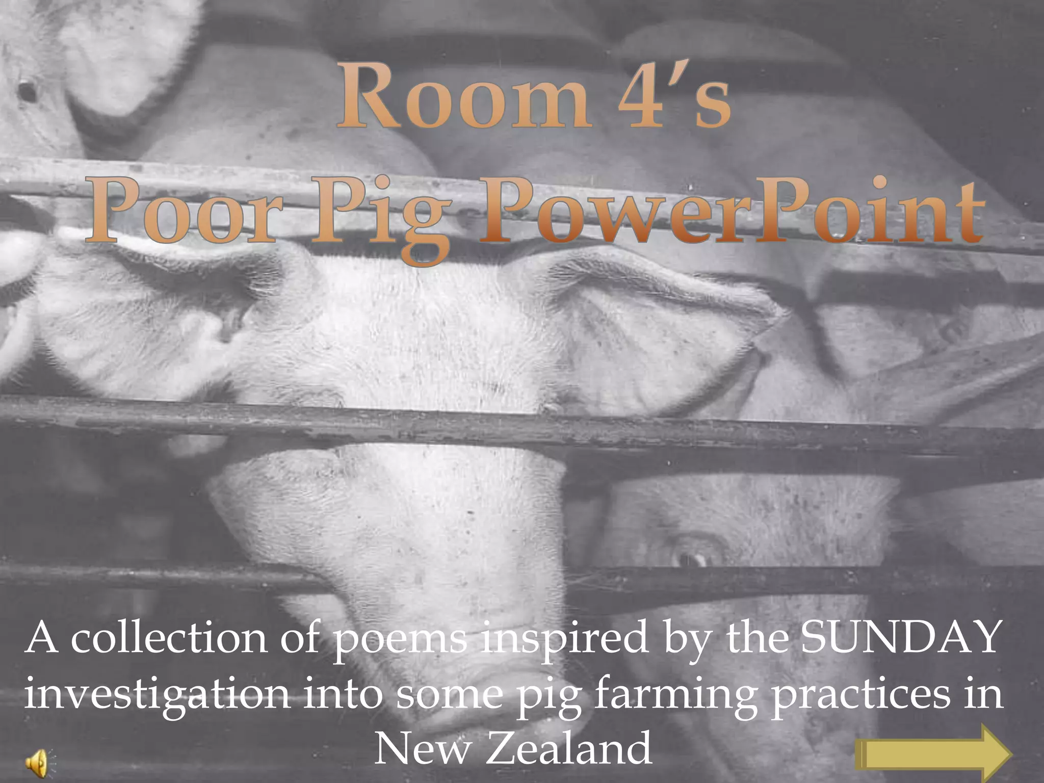 A collection of poems inspired by the SUNDAY
investigation into some pig farming practices in
New Zealand