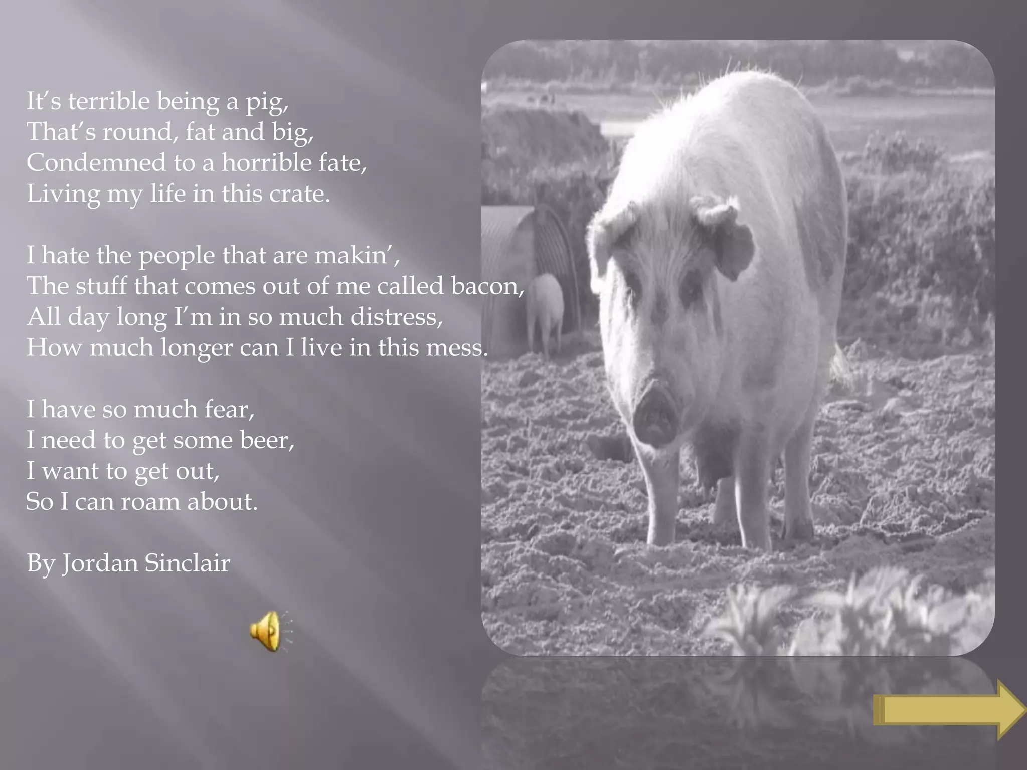 It’s terrible being a pig,
That’s round, fat and big,
Condemned to a horrible fate,
Living my life in this crate.
I hate the people that are makin’,
The stuff that comes out of me called bacon,
All day long I’m in so much distress,
How much longer can I live in this mess.
I have so much fear,
I need to get some beer,
I want to get out,
So I can roam about.
By Jordan Sinclair