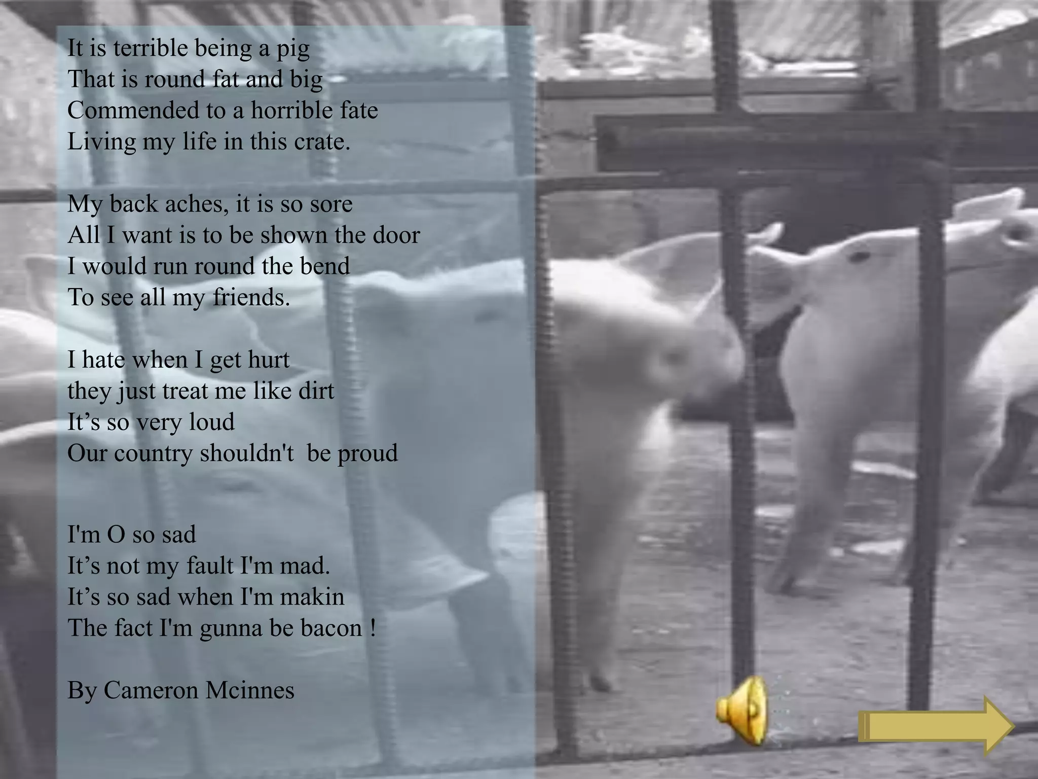 It is terrible being a pig
That is round fat and big
Commended to a horrible fate
Living my life in this crate.
My back aches, it is so sore
All I want is to be shown the door
I would run round the bend
To see all my friends.
I hate when I get hurt
they just treat me like dirt
It’s so very loud
Our country shouldn't be proud
I'm O so sad
It’s not my fault I'm mad.
It’s so sad when I'm makin
The fact I'm gunna be bacon !
By Cameron Mcinnes