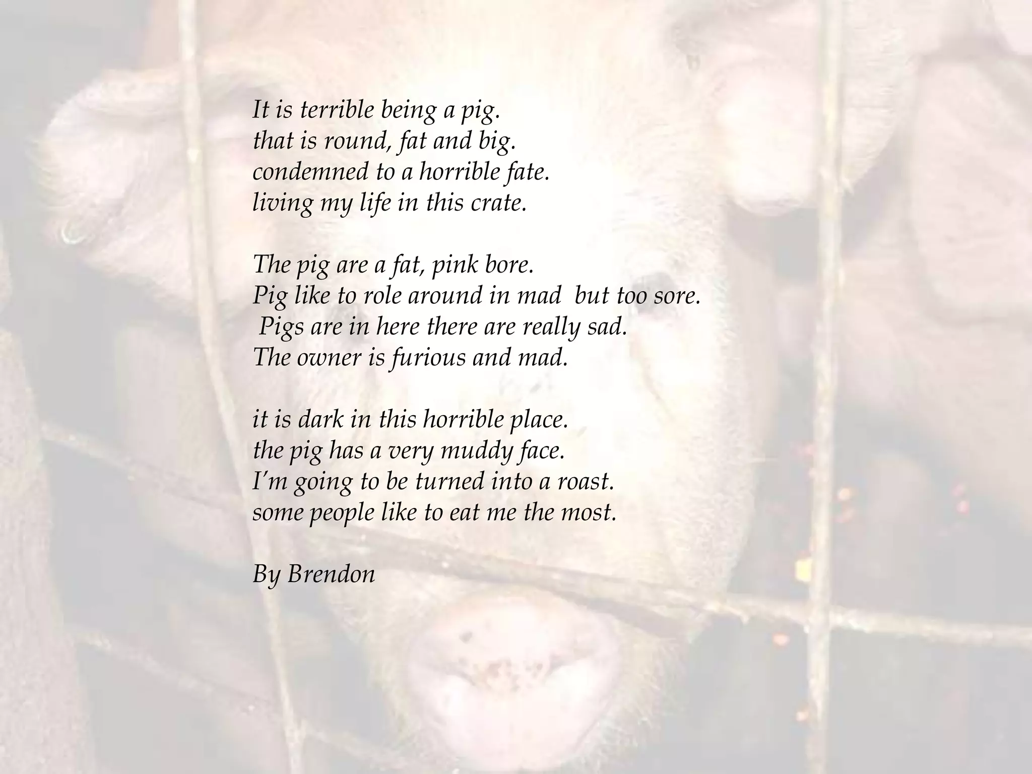 It is terrible being a pig.
that is round, fat and big.
condemned to a horrible fate.
living my life in this crate.
The pig are a fat, pink bore.
Pig like to role around in mad but too sore.
Pigs are in here there are really sad.
The owner is furious and mad.
it is dark in this horrible place.
the pig has a very muddy face.
I’m going to be turned into a roast.
some people like to eat me the most.
By Brendon