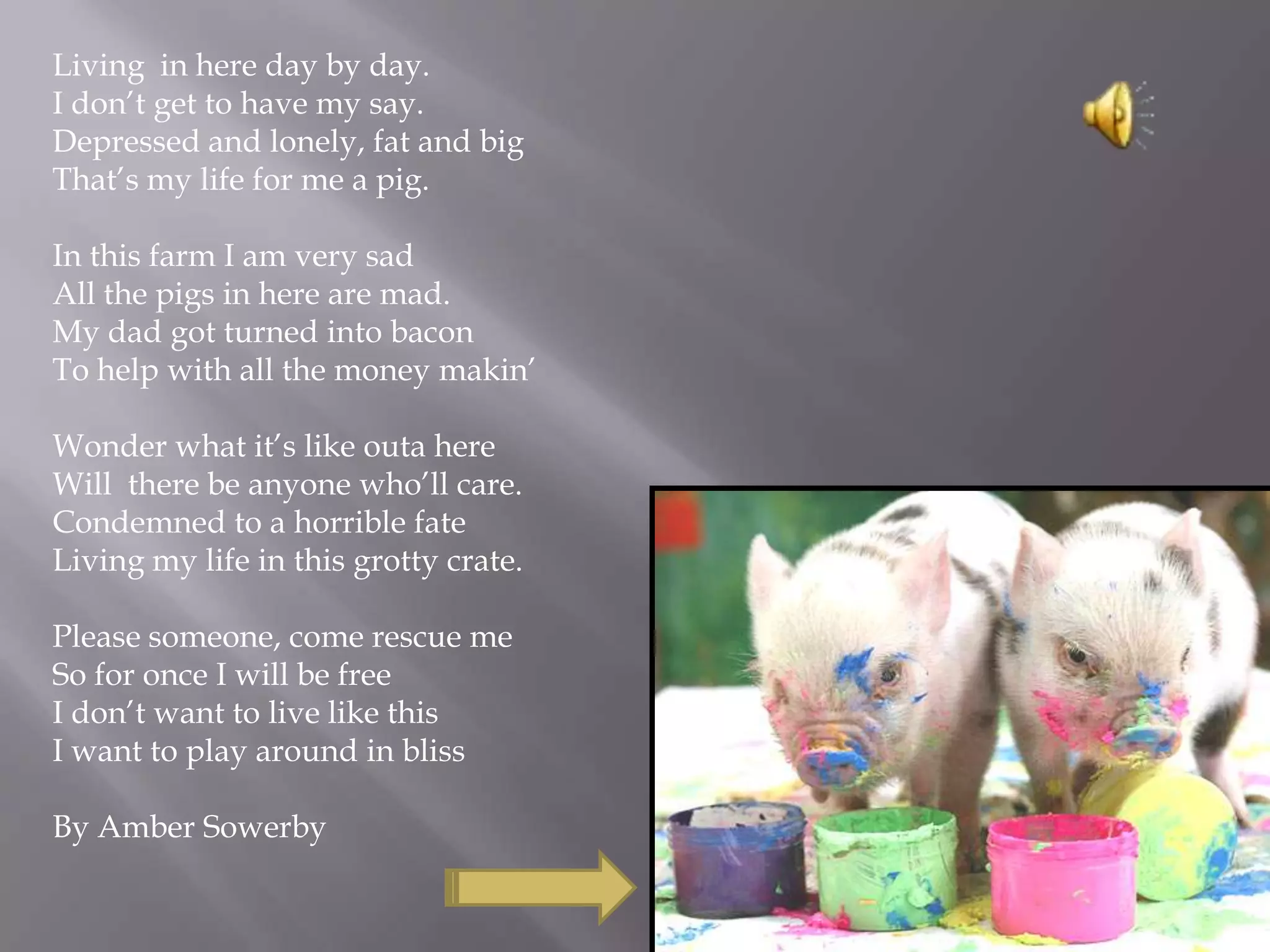 Living in here day by day.
I don’t get to have my say.
Depressed and lonely, fat and big
That’s my life for me a pig.
In this farm I am very sad
All the pigs in here are mad.
My dad got turned into bacon
To help with all the money makin’
Wonder what it’s like outa here
Will there be anyone who’ll care.
Condemned to a horrible fate
Living my life in this grotty crate.
Please someone, come rescue me
So for once I will be free
I don’t want to live like this
I want to play around in bliss
By Amber Sowerby