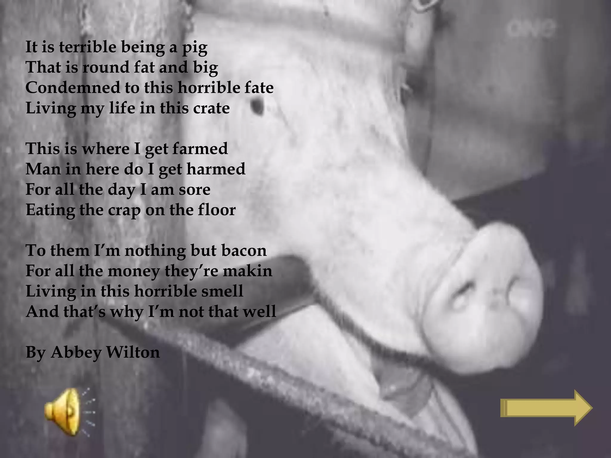 It is terrible being a pig
That is round fat and big
Condemned to this horrible fate
Living my life in this crate
This is where I get farmed
Man in here do I get harmed
For all the day I am sore
Eating the crap on the floor
To them I’m nothing but bacon
For all the money they’re makin
Living in this horrible smell
And that’s why I’m not that well
By Abbey Wilton