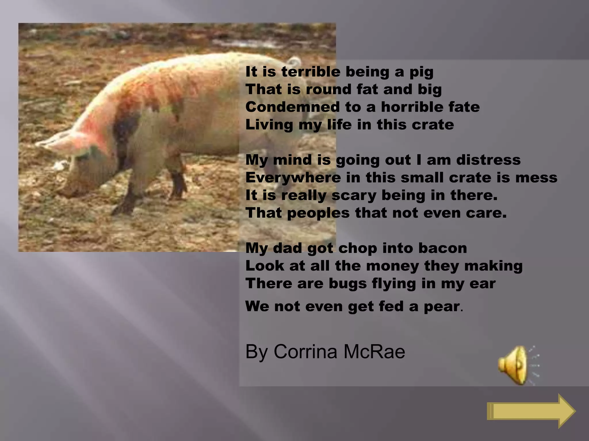 It is terrible being a pig
That is round fat and big
Condemned to a horrible fate
Living my life in this crate
My mind is going out I am distress
Everywhere in this small crate is mess
It is really scary being in there.
That peoples that not even care.
My dad got chop into bacon
Look at all the money they making
There are bugs flying in my ear
We not even get fed a pear.
By Corrina McRae
