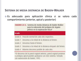 SISTEMA DE MEDIA DISTANCIA DE BADEN-WALKER
 Es adecuado para aplicación clínica si se valora cada
compartimiento (anterior, apical y posterior)
 