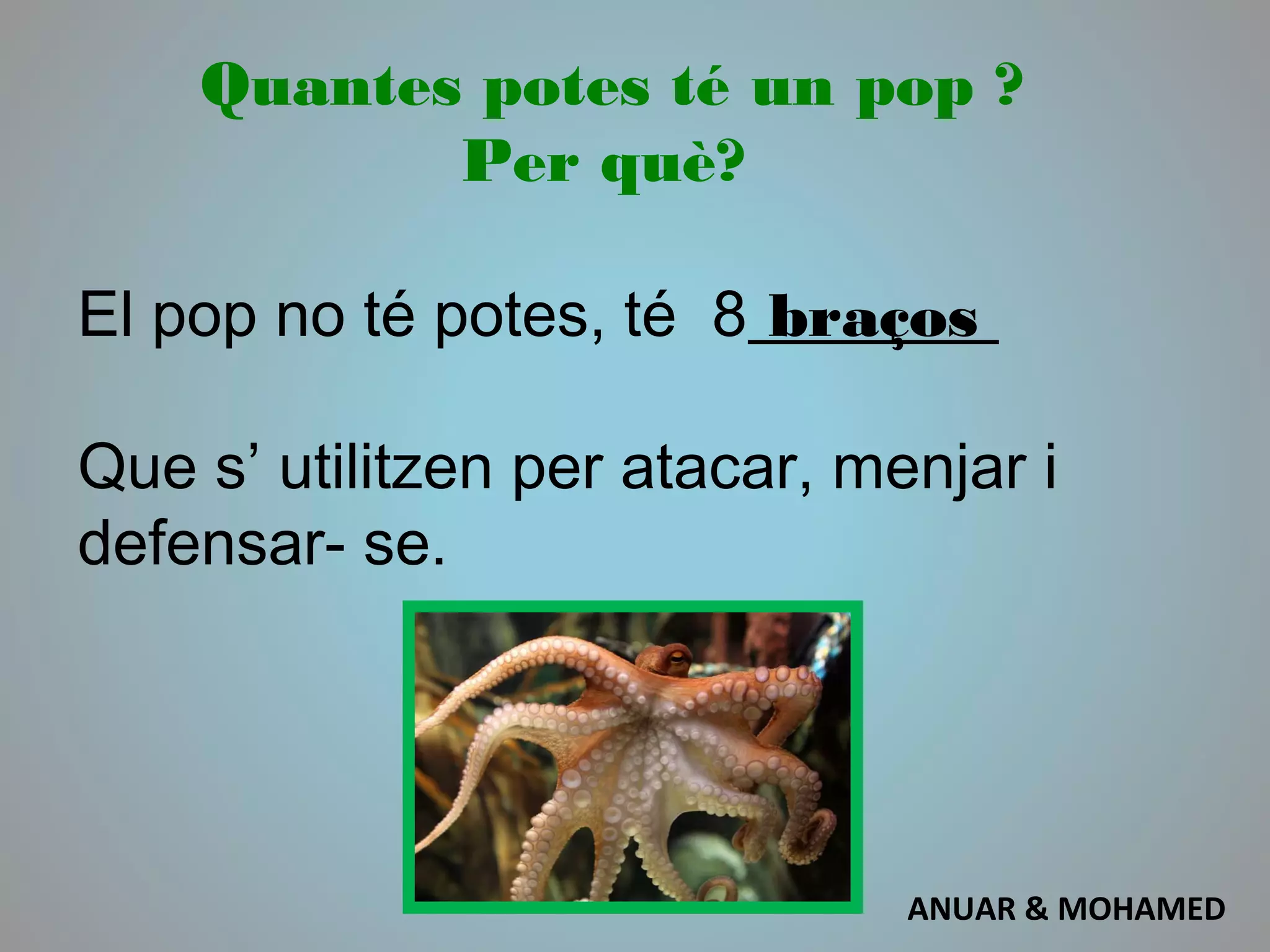 Quantes potes té un pop ?
Per què?
El pop no té potes, té 8 braços
Que s’ utilitzen per atacar, menjar i
defensar- se.
ANUAR & MOHAMED
 