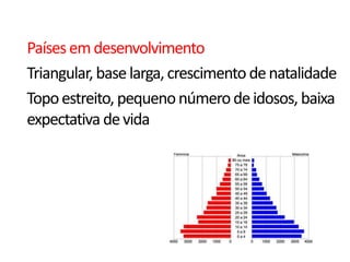 Países em desenvolvimento
Triangular, base larga, crescimento de natalidade
Topo estreito, pequeno número de idosos, baixa
expectativa de vida
 