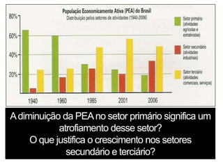 A diminuição da PEA no setor primário significa um
            atrofiamento desse setor?
     O que justifica o crescimento nos setores
              secundário e terciário?
 
