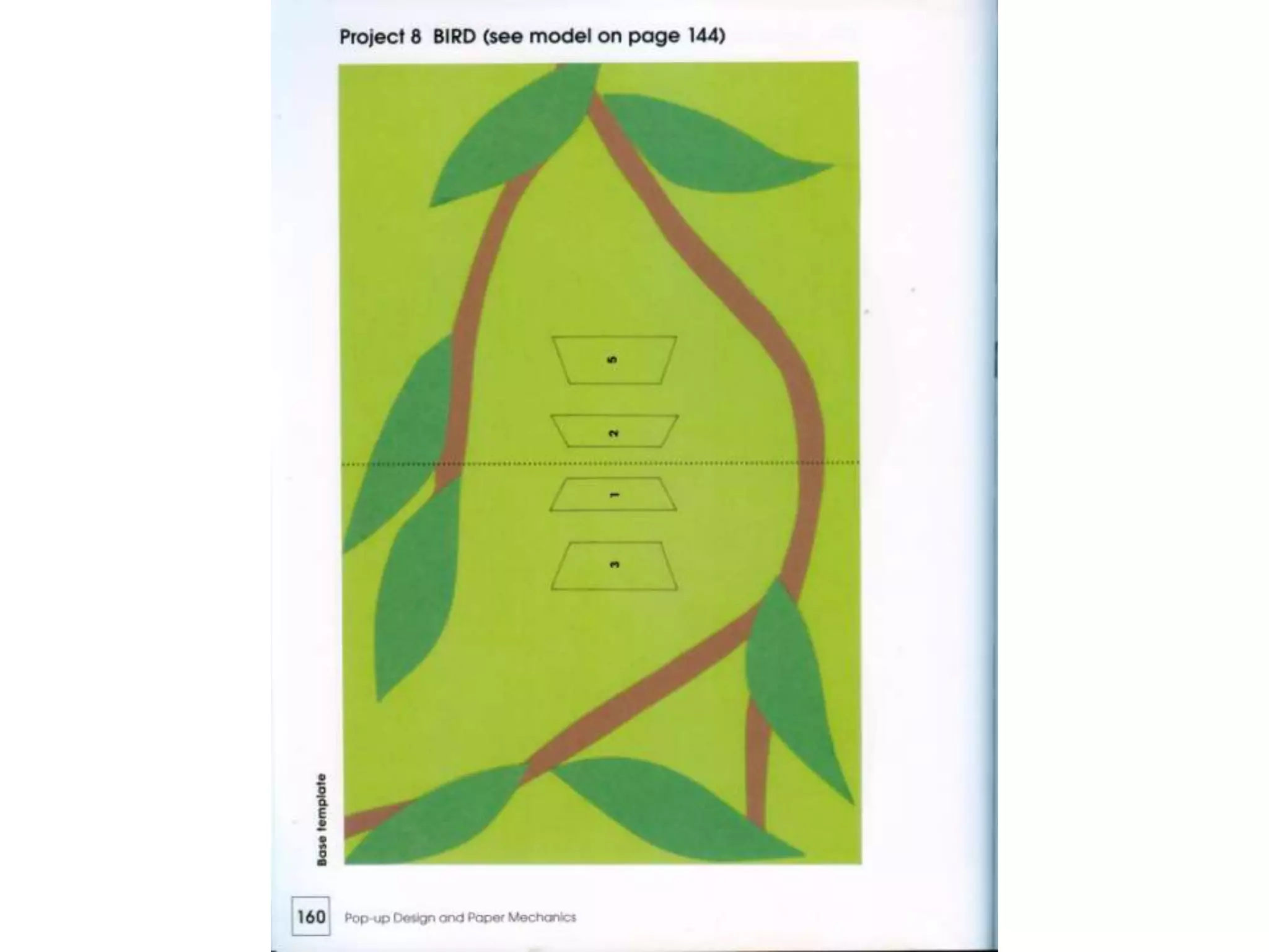 Pop up design and paper mechanics