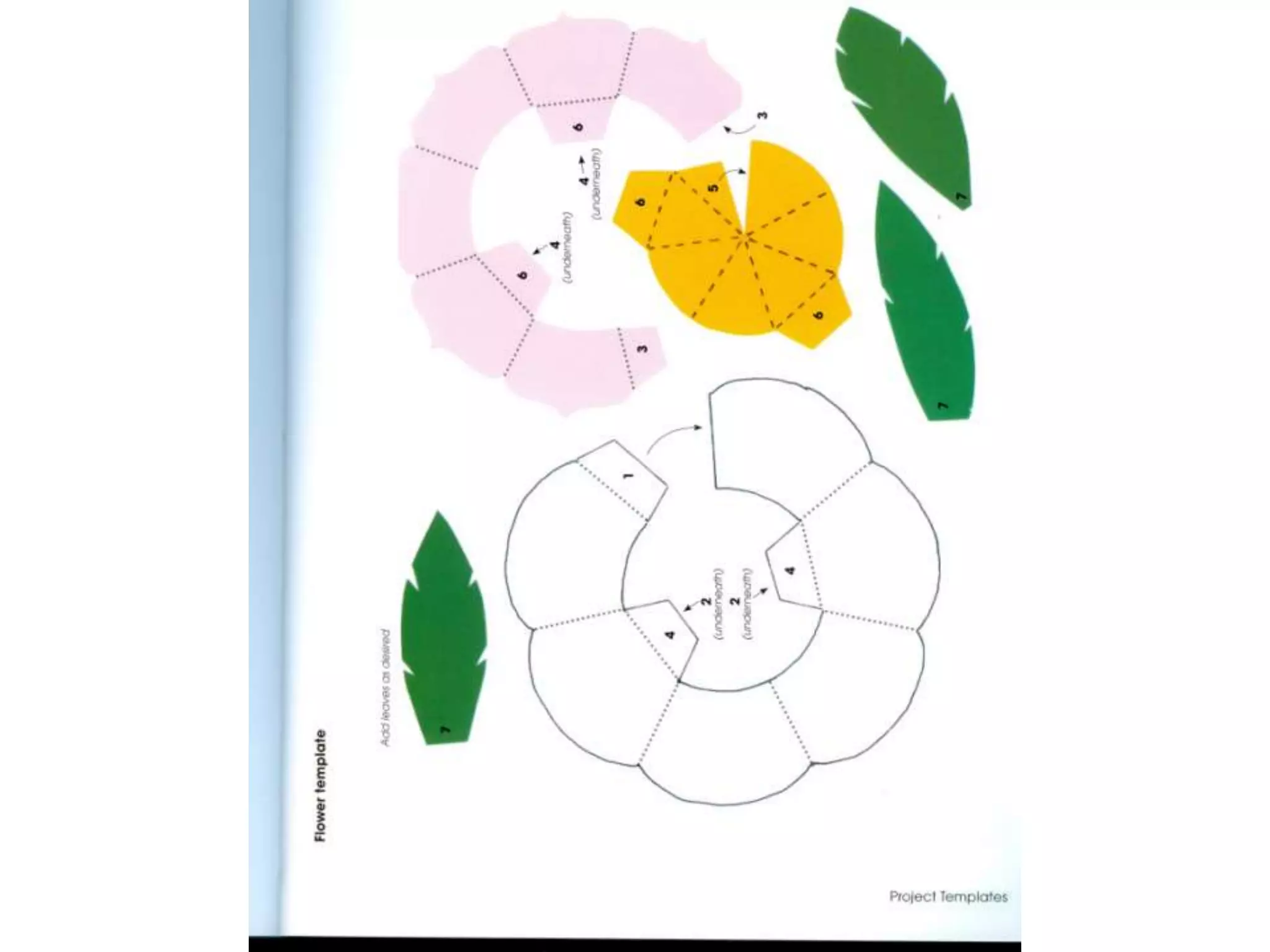 Pop up design and paper mechanics