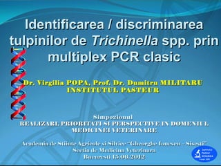 Identificarea / discriminareaIdentificarea / discriminarea
tulpinilor detulpinilor de TrichinellaTrichinella spp. prinspp. prin
multiplex PCR clasicmultiplex PCR clasic
Dr. Virgilia POPADr. Virgilia POPA , Prof. Dr. Dumitru MILITARU, Prof. Dr. Dumitru MILITARU
INSTITUTUL PASTEURINSTITUTUL PASTEUR
SimpozionulSimpozionul
REALIZARI, PRIORITATI SI PERSPECTIVE IN DOMENIULREALIZARI, PRIORITATI SI PERSPECTIVE IN DOMENIUL
MEDICINEI VETERINAREMEDICINEI VETERINARE
Academia de Stiinte Agricole si Silvice “Gheorghe Ionescu – Sisesti”Academia de Stiinte Agricole si Silvice “Gheorghe Ionescu – Sisesti”
Sectia de Medicina VeterinaraSectia de Medicina Veterinara
Bucuresti 15.06.2012Bucuresti 15.06.2012
 