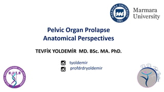 Pelvic Organ Prolapse
Anatomical Perspectives
TEVFİK YOLDEMİR MD. BSc. MA. PhD.
tyoldemir
profdrdryoldemir
 