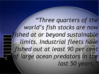 		“Three quarters of the world’s fish stocks are now fished at or beyond sustainable limits. Industrial fleets have fished out at least 90 per cent of large ocean predators in the last 50 years.”