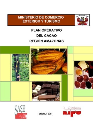 PLAN OPERATIVO
DEL CACAO
REGIÓN AMAZONAS
MINISTERIO DE COMERCIO
EXTERIOR Y TURISMO
ENERO, 2007
 