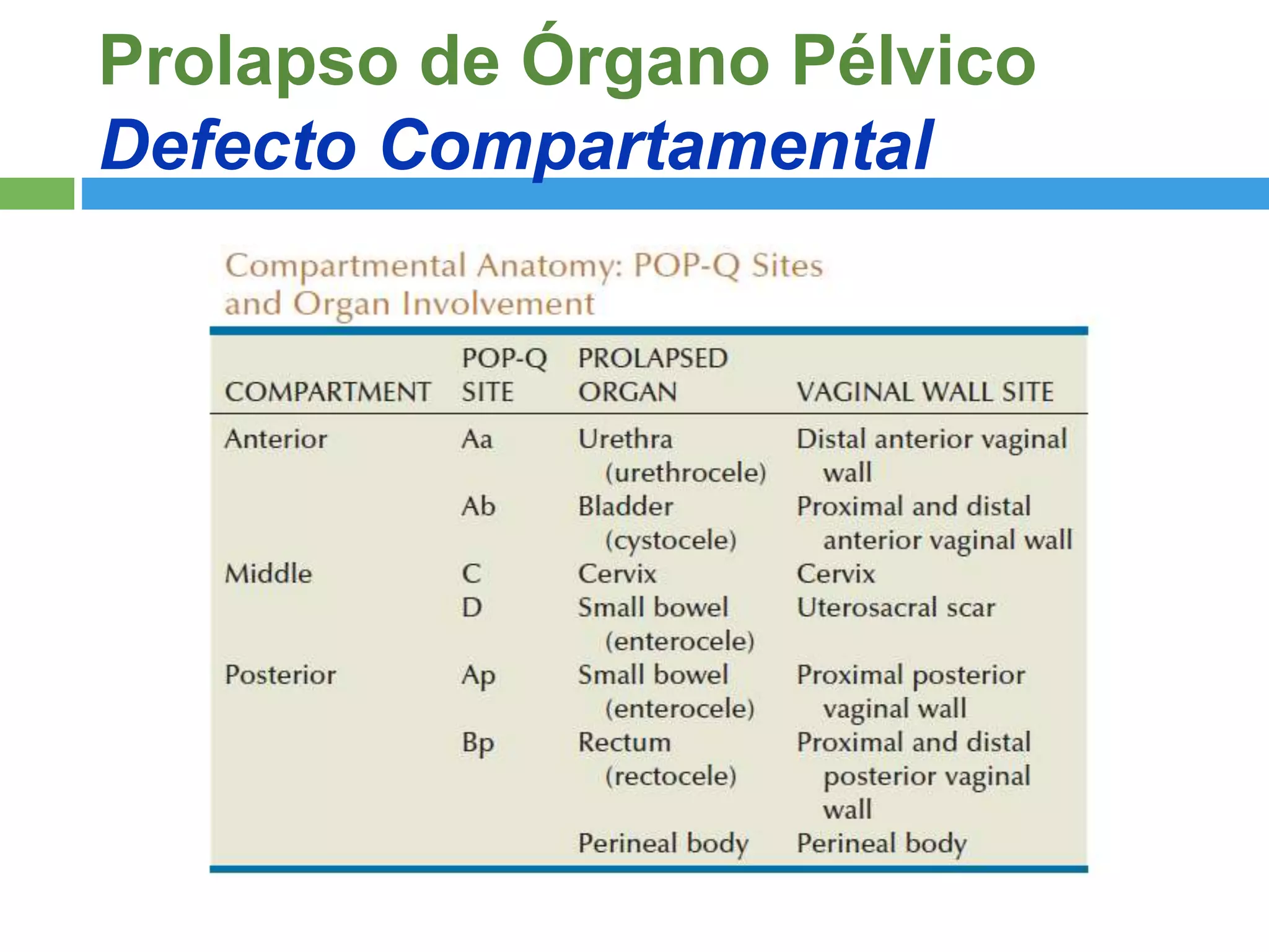 Cirugia Reconstructiva del Prolapso de Organo Pelvico | PPTX