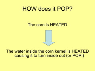 HOW does it POP? The corn is HEATED The water inside the corn kernel is HEATED causing it to turn inside out (or POP!) 