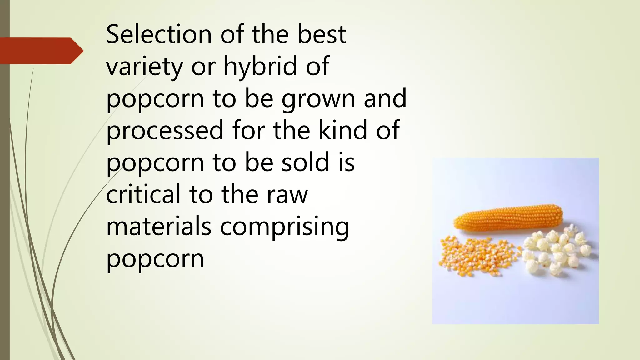 Selection of the best
variety or hybrid of
popcorn to be grown and
processed for the kind of
popcorn to be sold is
critical to the raw
materials comprising
popcorn