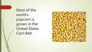 Most of the
world’s
popcorn is
grown in the
United States
Corn Belt
 