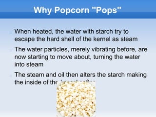 Popcornproject | PPT