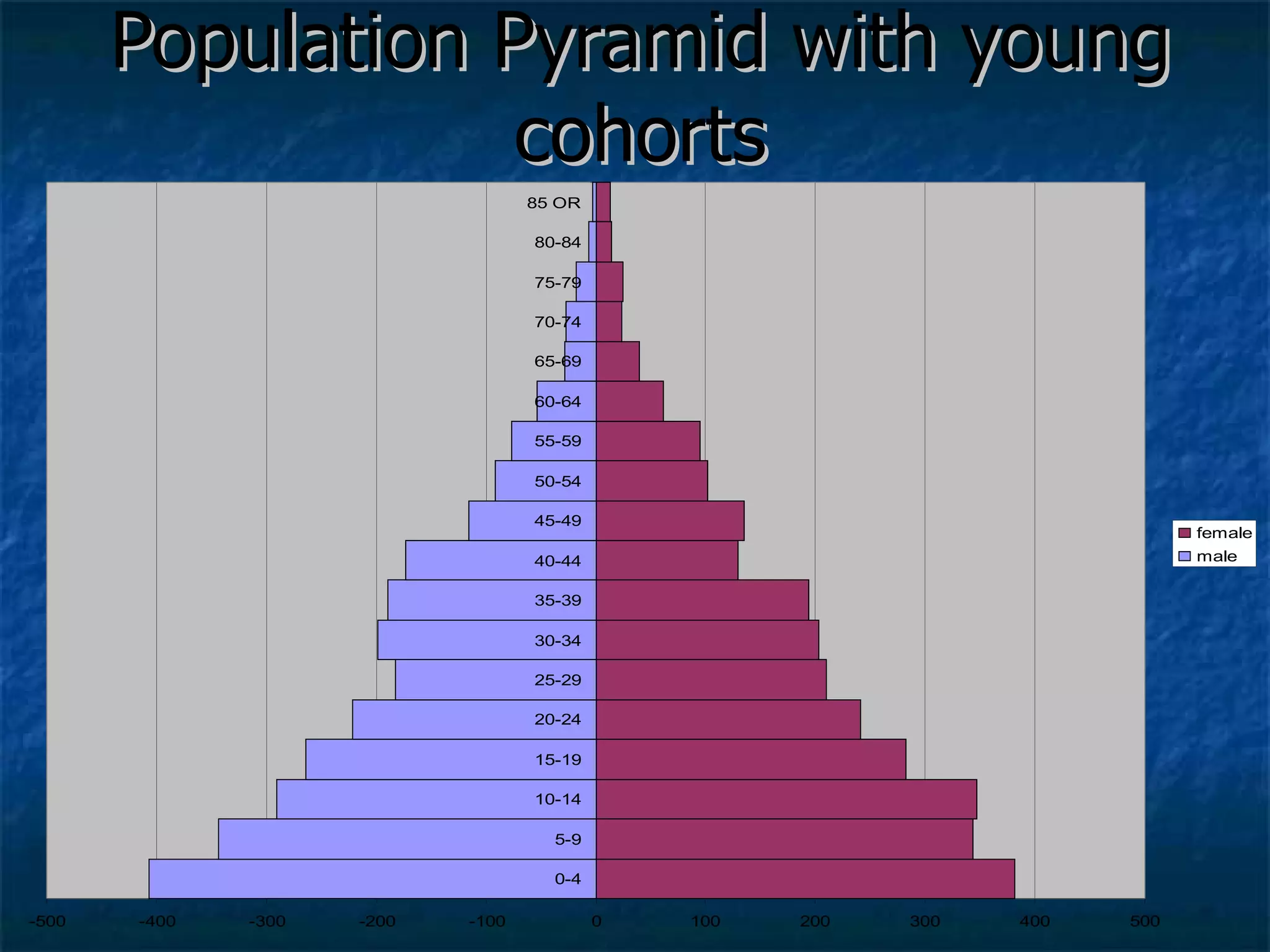 Population Pyramid with young cohorts 