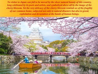 No visitor to Japan can fail to be moved by the sheer natural beauty of this country,
long celebrated by its poets and artists, and symbolized above all by the image of the
cherry blossom. Yet the very delicacy of the cherry blossom reminds us of the fragility
of our common home, subjected not only to natural disasters but also to greed,
exploitation and devastation at the hands of human beings.
 