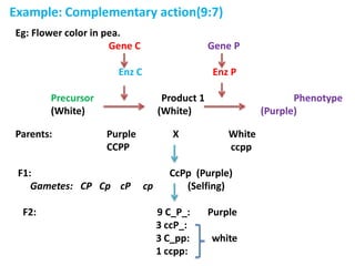 Population genetics khaireni for agriculture | PDF