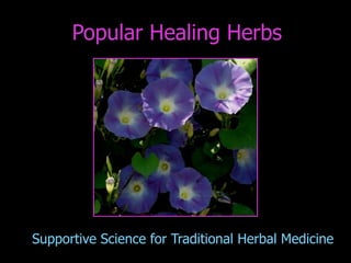 Popular Healing Herbs




Supportive Science for Traditional Herbal Medicine
 