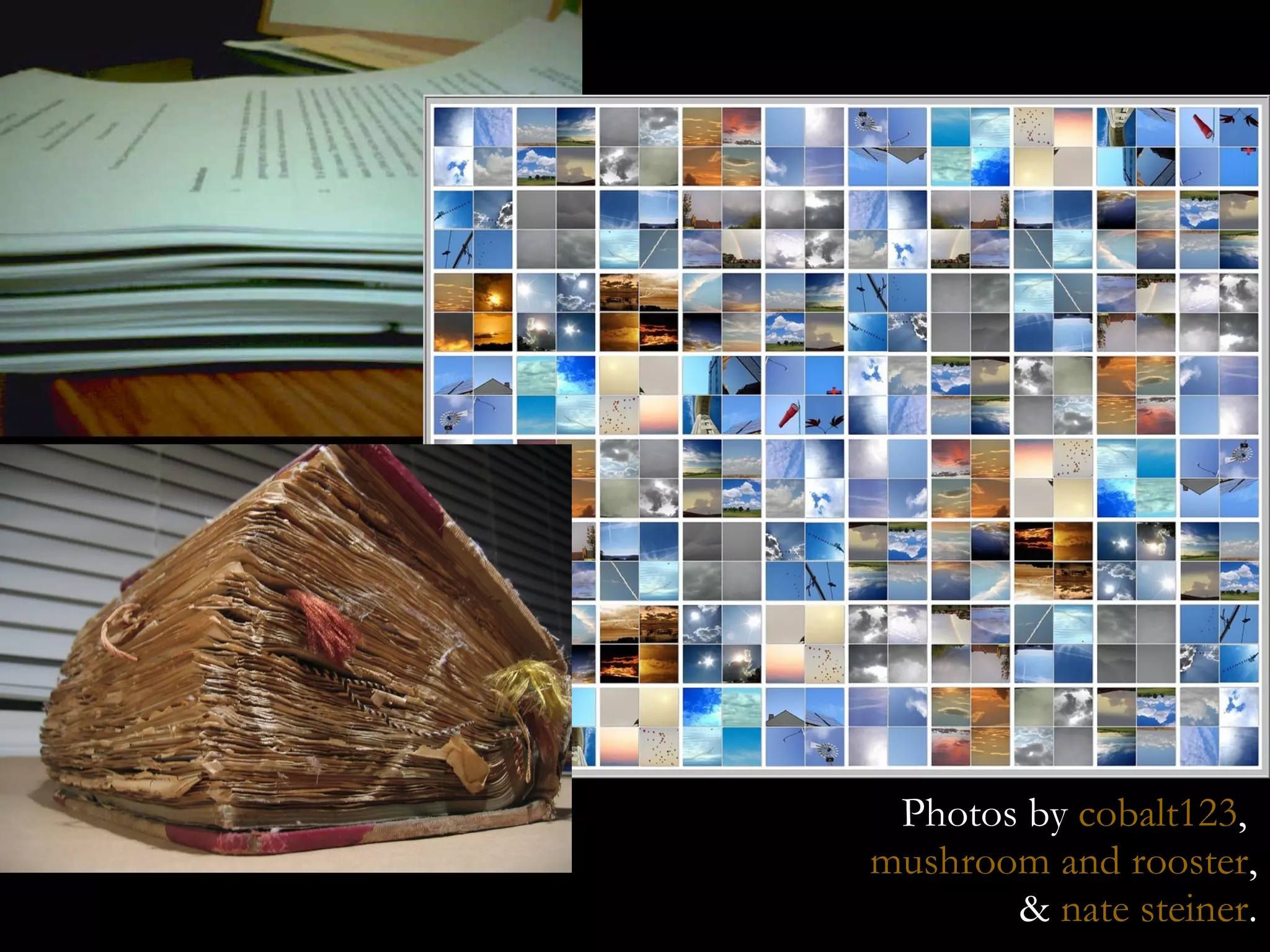 Photos by  cobalt123 ,  mushroom and rooster , &  nate steiner . 