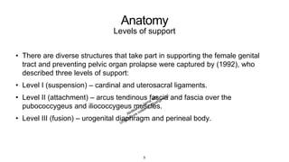 Anatomy
Levels of support
• There are diverse structures that take part in supporting the female genital
tract and preventing pelvic organ prolapse were captured by (1992), who
described three levels of support:
• Level I (suspension) – cardinal and uterosacral ligaments.
• Level II (attachment) – arcus tendinous fascia and fascia over the
pubococcygeus and iliococcygeus muscles.
• Level III (fusion) – urogenital diaphragm and perineal body.
5
 