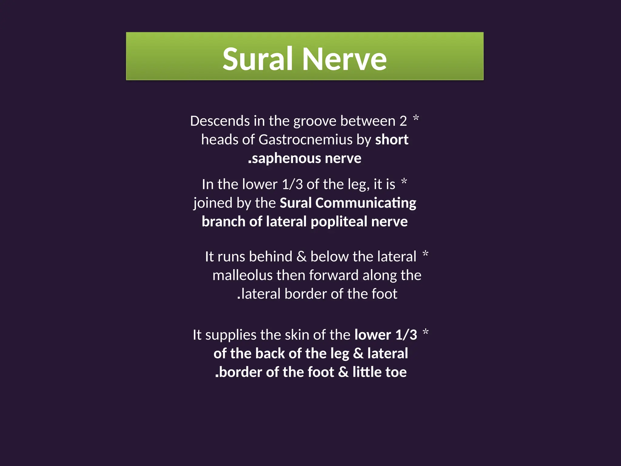 Sural Nerve
*
Descends in the groove between 2
heads of Gastrocnemius by short
saphenous nerve
.
*
In the lower 1/3 of the leg, it is
joined by the Sural Communicating
branch of lateral popliteal nerve
*
It runs behind & below the lateral
malleolus then forward along the
lateral border of the foot
.
*
It supplies the skin of the lower 1/3
of the back of the leg & lateral
border of the foot & little toe
.
 