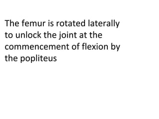 The femur is rotated laterally
to unlock the joint at the
commencement of flexion by
the popliteus
 