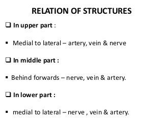 RELATION OF STRUCTURES
 In upper part :
 Medial to lateral – artery, vein & nerve
 In middle part :
 Behind forwards – nerve, vein & artery.
 In lower part :
 medial to lateral – nerve , vein & artery.
 