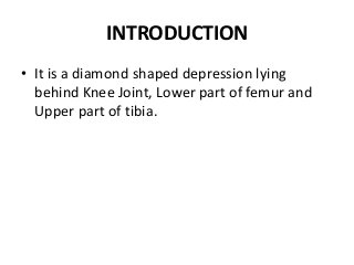 INTRODUCTION
• It is a diamond shaped depression lying
behind Knee Joint, Lower part of femur and
Upper part of tibia.
 
