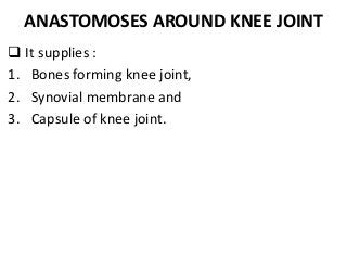 ANASTOMOSES AROUND KNEE JOINT
 It supplies :
1. Bones forming knee joint,
2. Synovial membrane and
3. Capsule of knee joint.
 