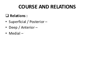 COURSE AND RELATIONS
 Relations :
• Superficial / Posterior –
• Deep / Anterior –
• Medial –
 