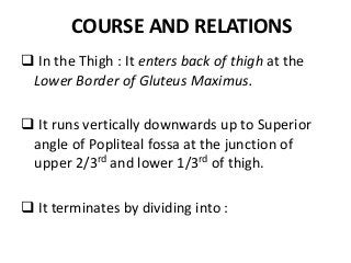 COURSE AND RELATIONS
 In the Thigh : It enters back of thigh at the
Lower Border of Gluteus Maximus.
 It runs vertically downwards up to Superior
angle of Popliteal fossa at the junction of
upper 2/3rd and lower 1/3rd of thigh.
 It terminates by dividing into :
 