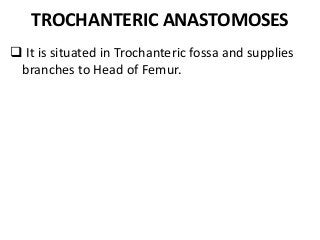 TROCHANTERIC ANASTOMOSES
 It is situated in Trochanteric fossa and supplies
branches to Head of Femur.
 