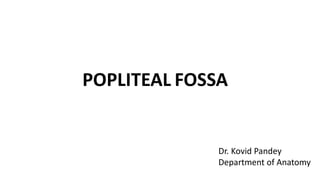 POPLITEAL FOSSA
Dr. Kovid Pandey
Department of Anatomy
 