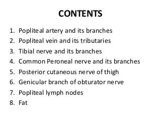 CONTENTS
1. Popliteal artery and its branches
2. Popliteal vein and its tributaries
3. Tibial nerve and its branches
4. Common Peroneal nerve and its branches
5. Posterior cutaneous nerve of thigh
6. Genicular branch of obturator nerve
7. Popliteal lymph nodes
8. Fat
 