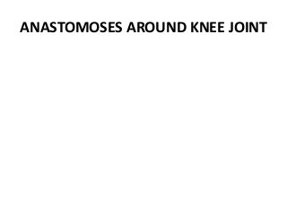 ANASTOMOSES AROUND KNEE JOINT
 